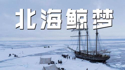 北海鲸梦,探寻神秘海洋生物的奇幻之旅