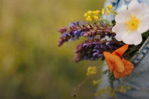 律政女杰莉迪亚,智慧与勇气并存的法庭传奇