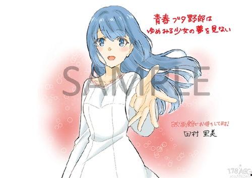 青春期猪头少年不做怀梦少女的梦,梦想与现实交织的青春篇章