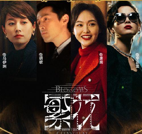 傻子龙婿第二部,龙婿归来，再战江湖