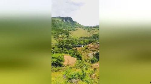 十年家远路遥遥,跨越时空的亲情之旅